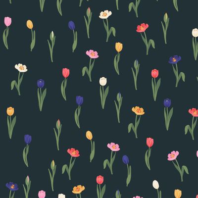 Разноцветные тюльпаны