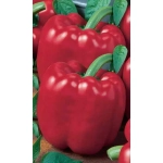 Семена Перец сладкий Калифорнийское Чудо (Марс) Б/П