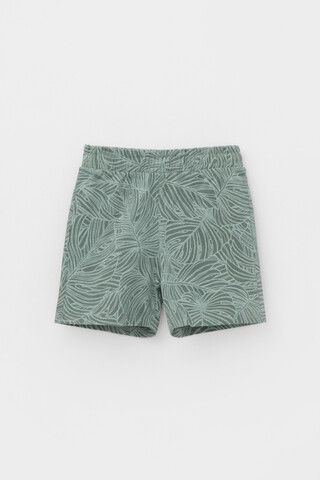 шорты  для мальчика  КР 400666/зеленый мох,тропики к460