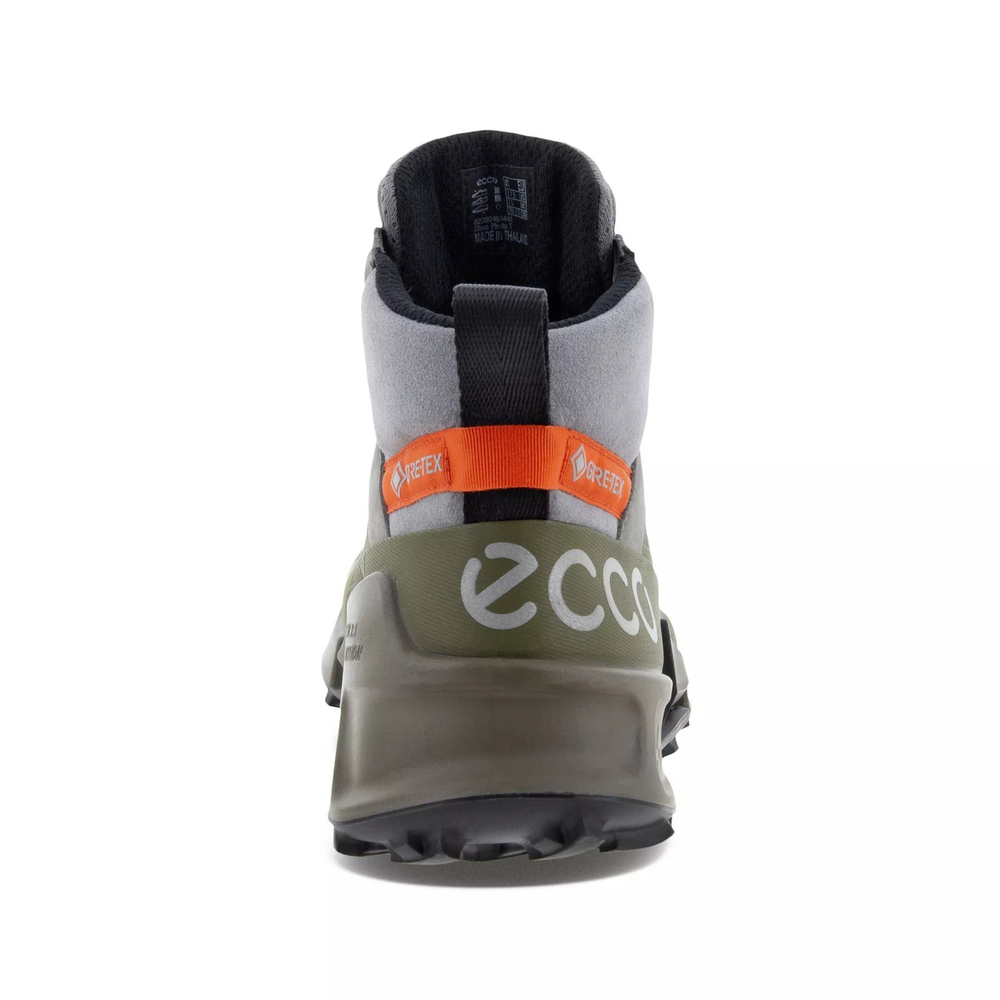 Ботинки мужские ECCO BIOM 2.1 X MOUNTAIN M