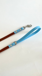 Поводок для собак из Биотана, 15 мм ,3 м, коричневый с голубым