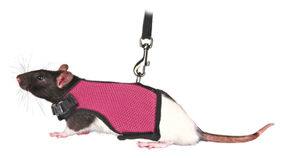 Шлейка-жилетка для крыс, полиэстер/нейлон, Trixie