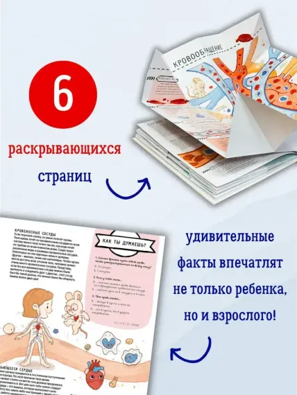 Книга с секретами. Секреты тела человека