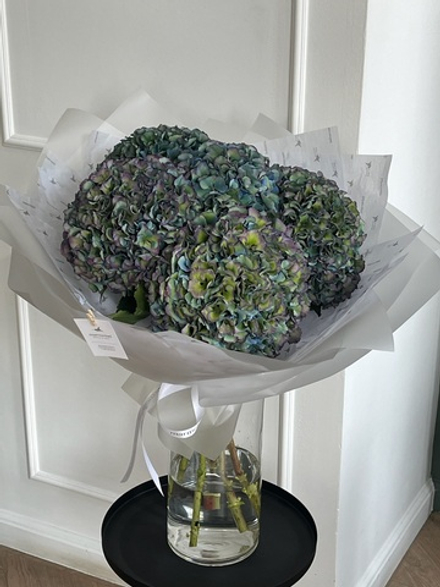 Моно букет из гортензии в темном оттенке