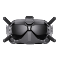 Очки DJI FPV Goggles V2