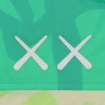 Куртки THE NORTH FACE 1996 KAWS 700 Logo, NF0A7WLX-75B