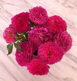 Рамукан (Ramukan)