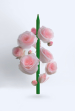 Карандаши цветные с ароматом розы Fine Line Basic 12 цветов