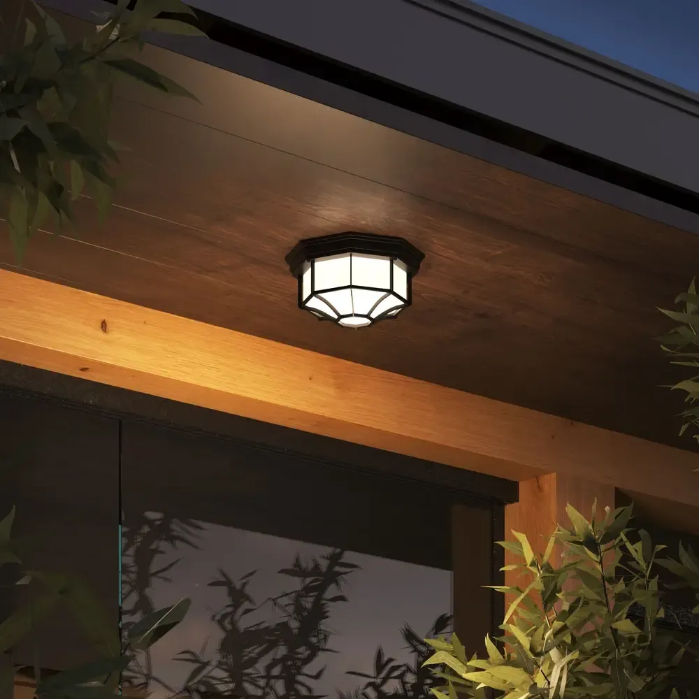 Уличный потолочный светильник Arte Lamp