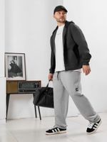 Брюки мужские Акс Виотекс СВЕТЛО-СЕРЫЙ