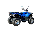 Квадроцикл IRBIS ATV200 LUX 2024