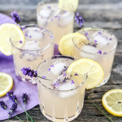 Лаванда LUX сушеная (бутоны), 500 гр