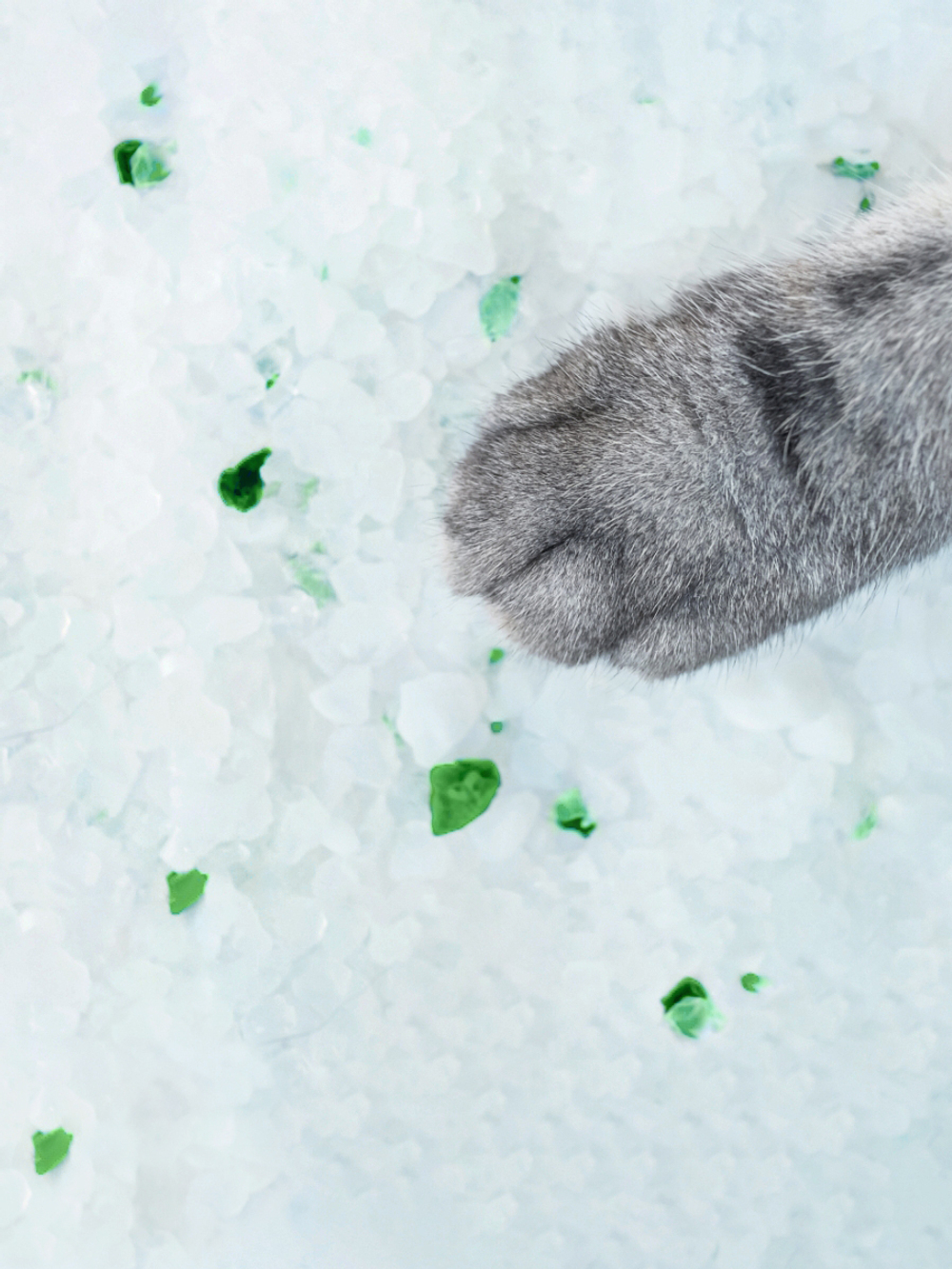 Pet-it силикагелевый наполнитель для кошек Crystal Green, без аромата, 12.5 л