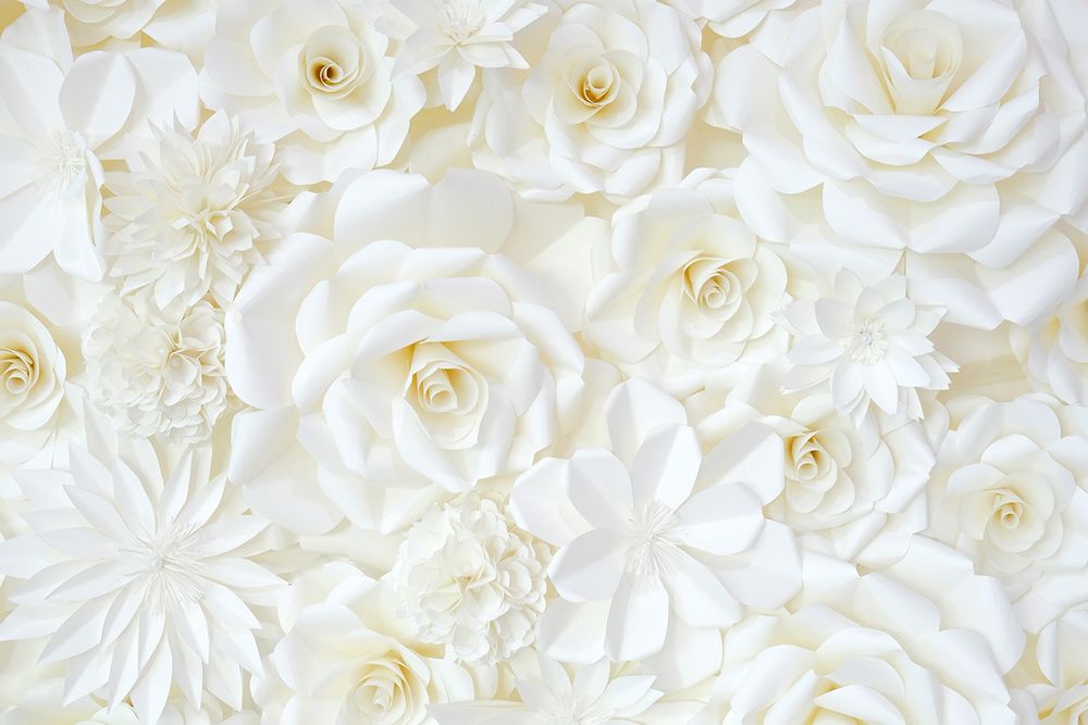 Фотообои белые цветы 05-012