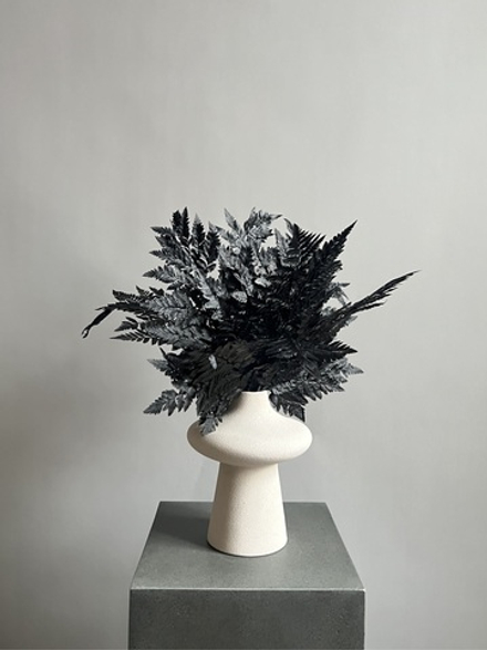 Папоротник черный