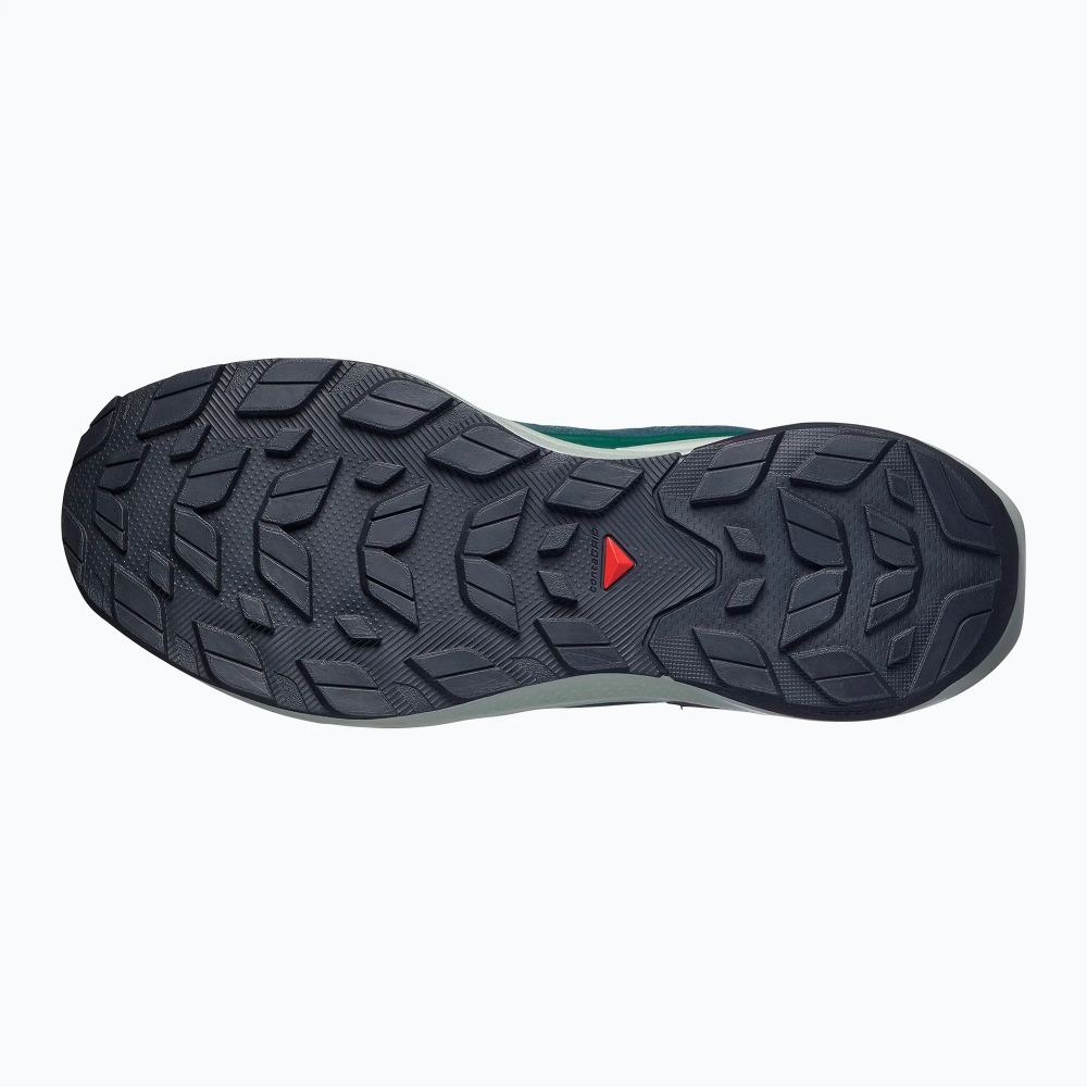 Ботинки Salomon Elixir Activ GTX scarab/green gable