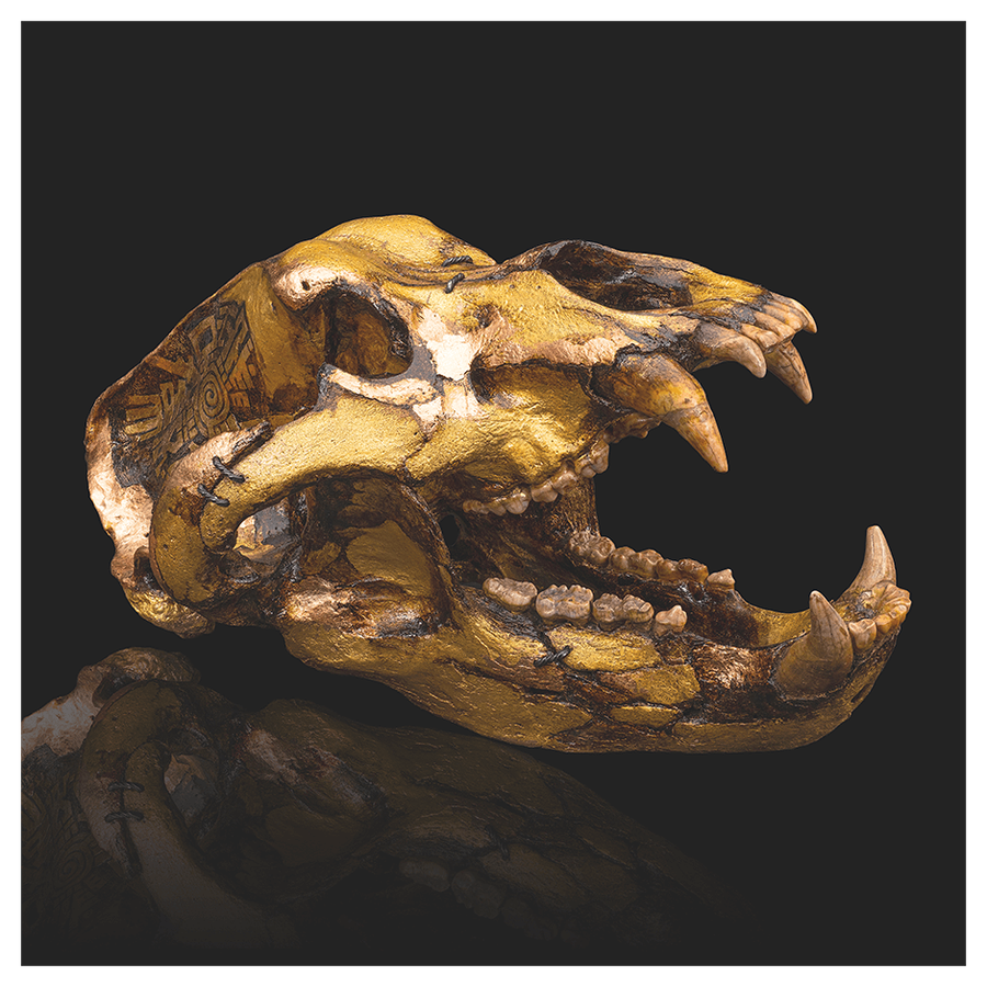 Артефакт «Череп пещерного медведя»