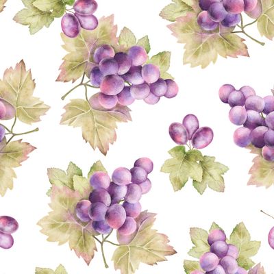 Акварельные гроздья красного винограда на белом фоне