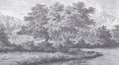 Дизайнерские обои Wall Street Estampe