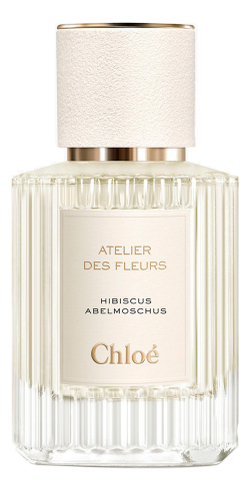 Chloe Atelier Des Fleurs Hibiscus Abelmoschus
