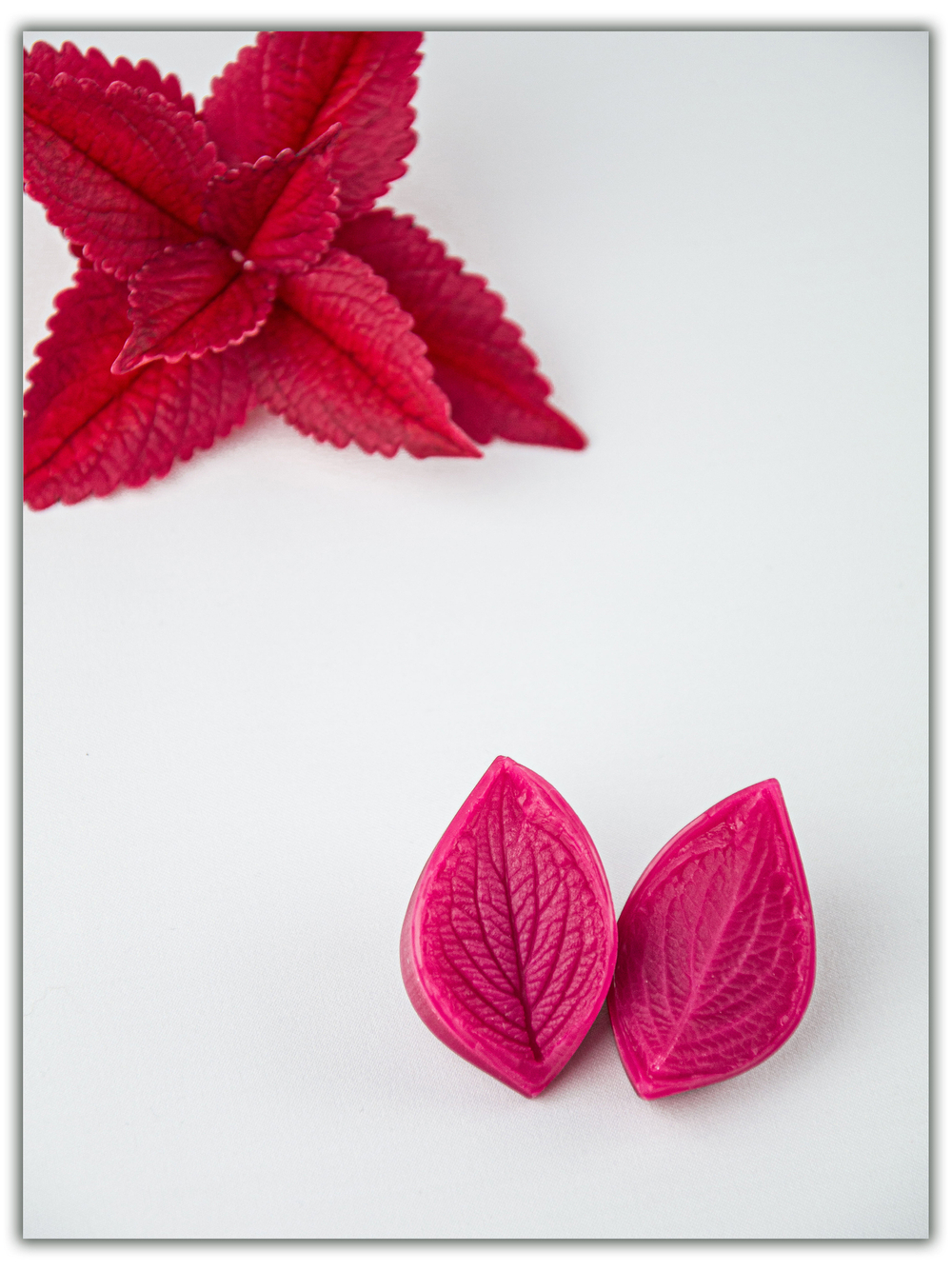 Колеус. Сорт 2