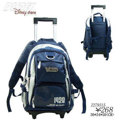 Рюкзак двухцветный съемный на колесиках