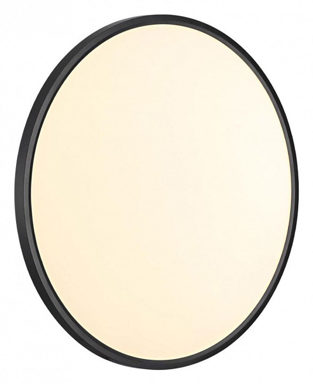 Накладной светильник Sonex Alfa Black 7660/48L