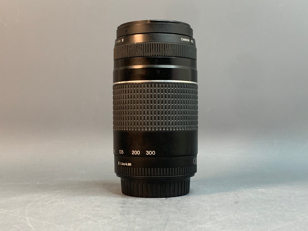 Canon EF 75-300mm 4-5.6 III