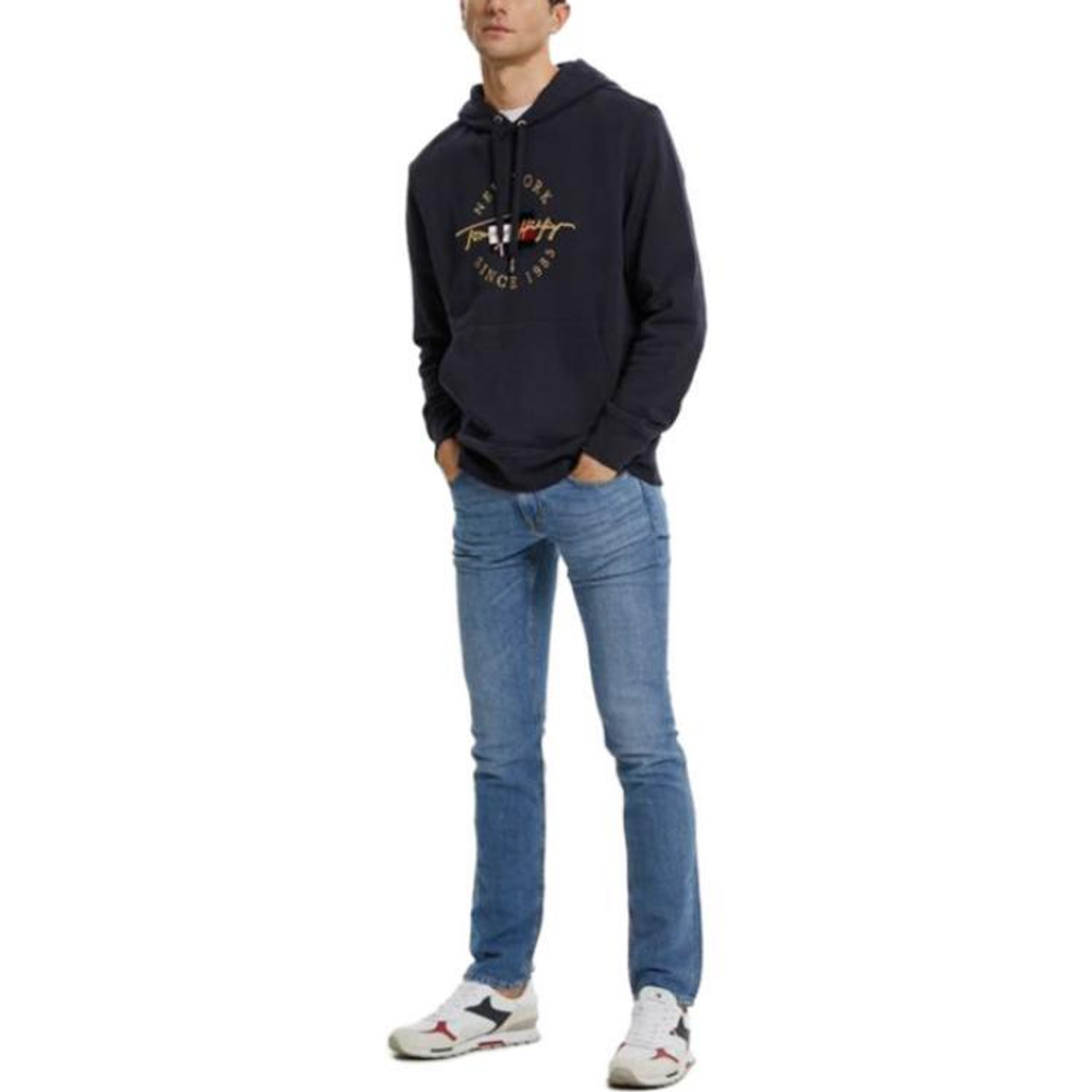 Tommy Hilfiger Hoodie, MW0MW22529-DW5