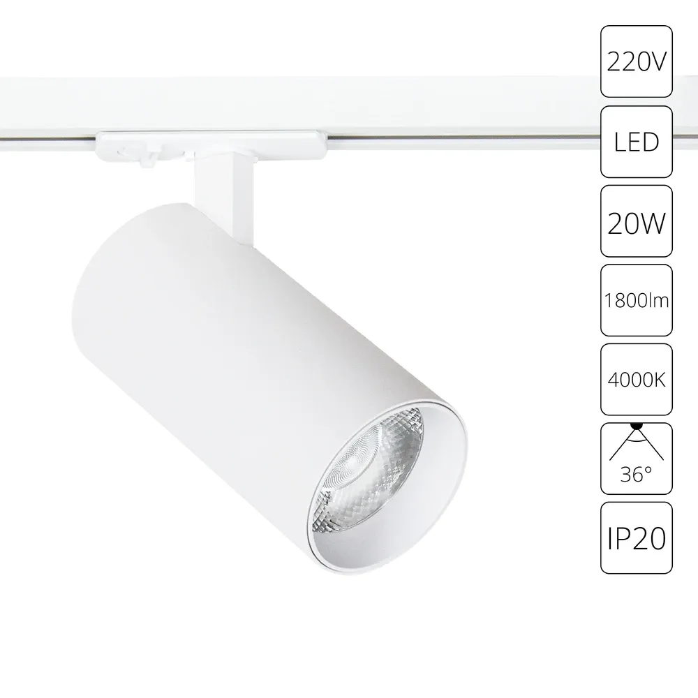 Трековый светильник Arte Lamp BENE