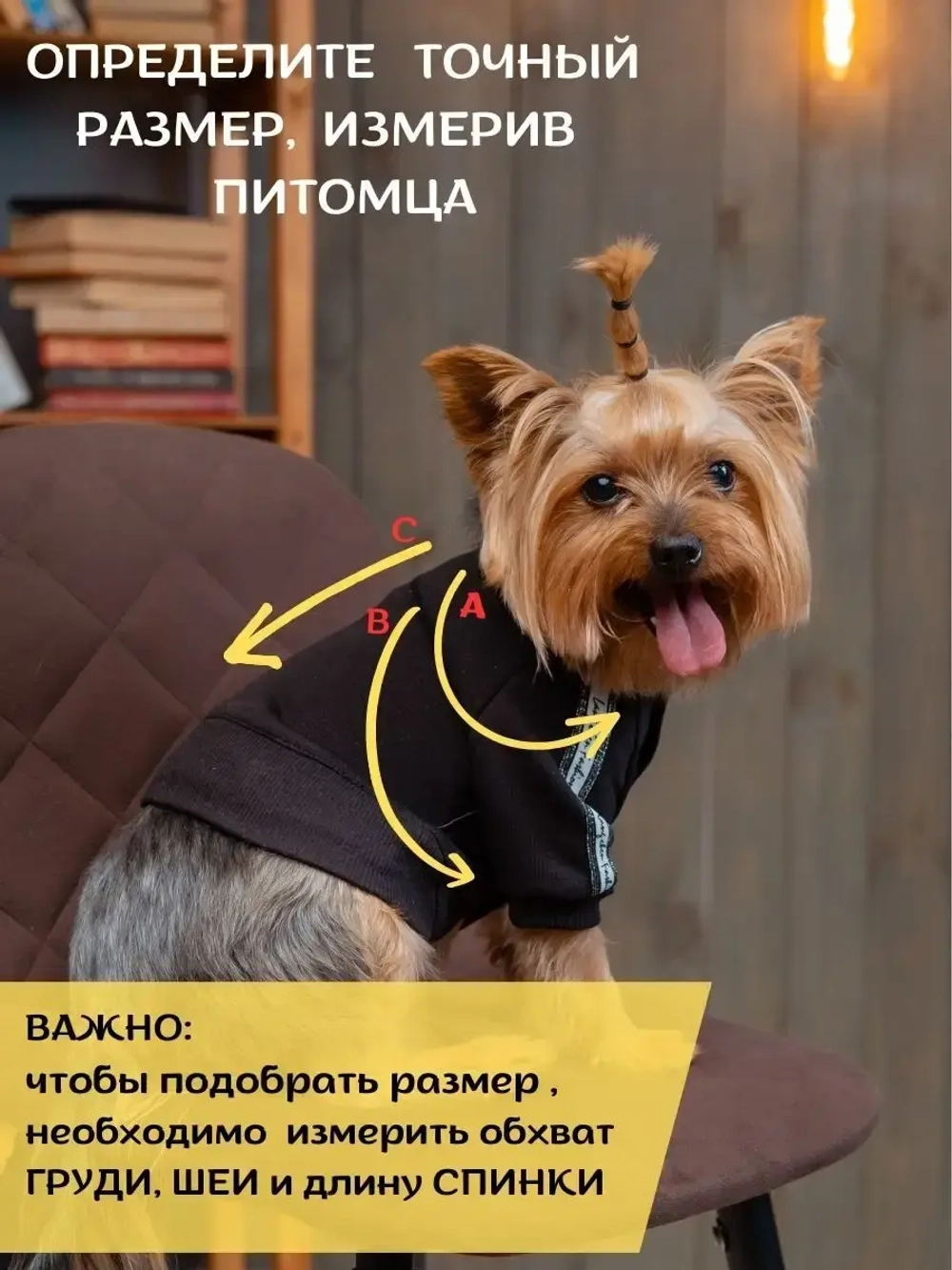 Спортивный комбинезон костюм для собак