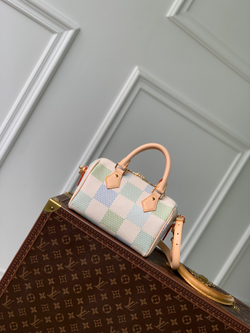 Louis Vuitton Speedy 20