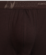 Мужские трусы шорты Atlantic, набор из 3 шт., бамбук, бежевые + коричневые + сине-зелёные, 3MH-231