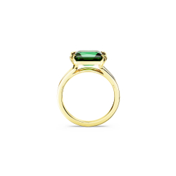 MATRIX:RING BAG GRE/GOS 55