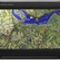 Garmin MONTANA 680t