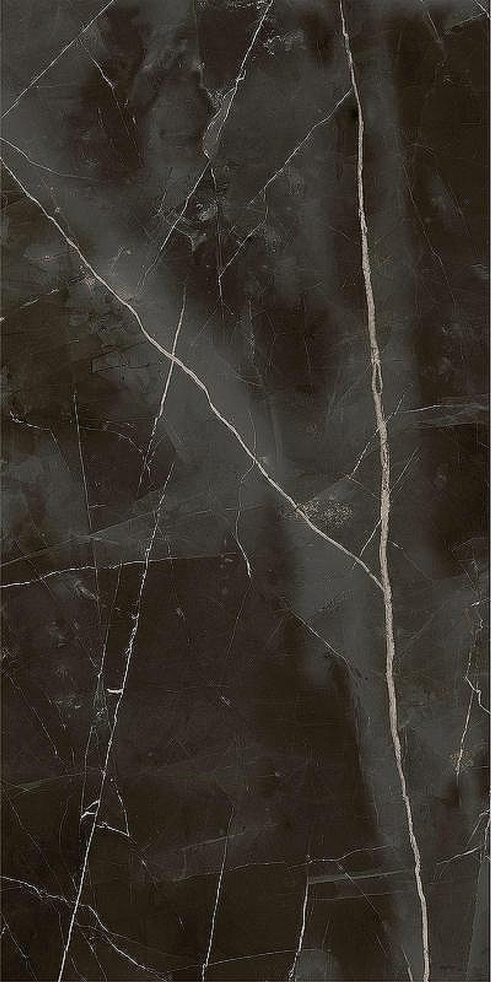 Керамогранит Italon Stellaris Absolut Black шлиф 610015000682 60х120 см