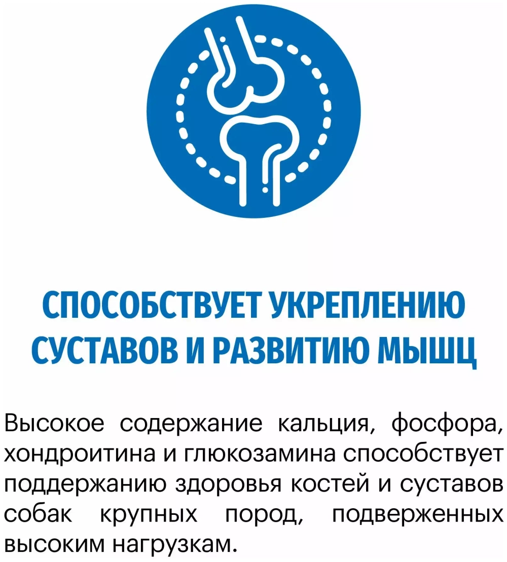Karmy Maxi Adult Сухой корм для собак крупных пород с телятиной, 2 кг