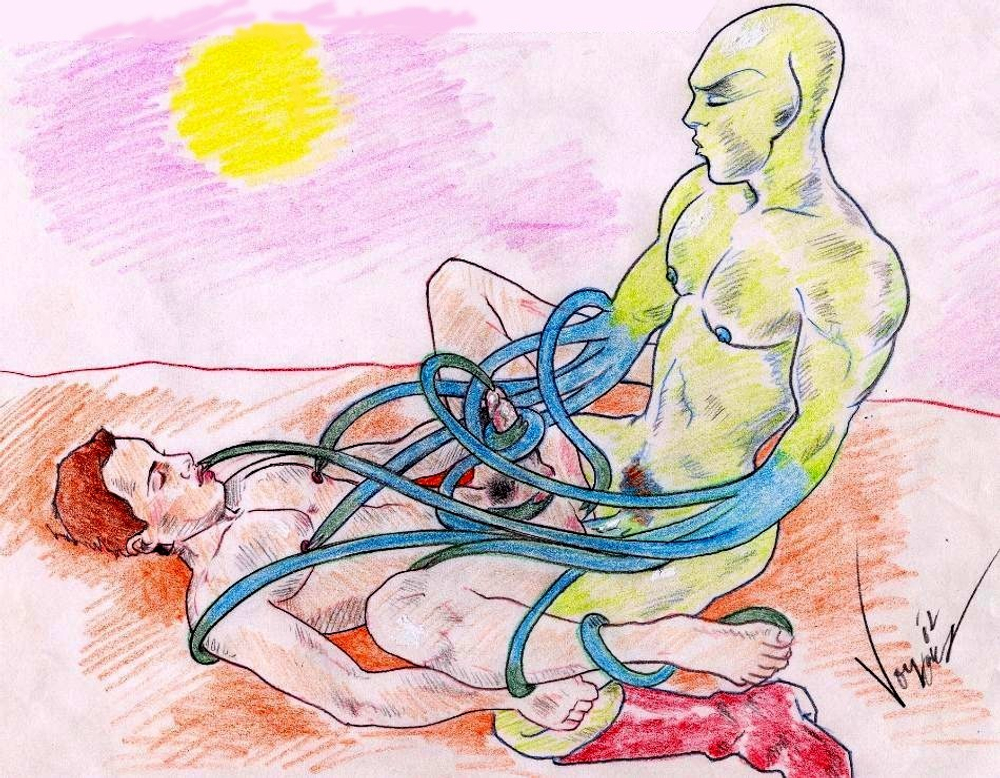 VOYEUR - эротическое искусство художника Войера. 18+
