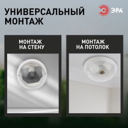 Светильник ЭРА НБП 06-60-001 Сириус поликарбонат IP54 E27 max 60Вт D220 круг призма | Светильники ЖКХ РБ