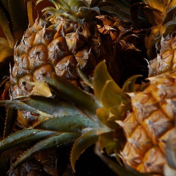 Shay and Blue London Kings Wood