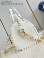 Louis Vuitton Speedy 20