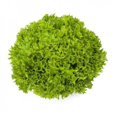 Экзакт семена салата саланова (Rijk Zwaan / Райк Цваан)