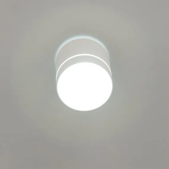 CL745020N Борн Белый Св-к Потол. 12W*4000K