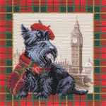 Скотч-терьер в Лондоне