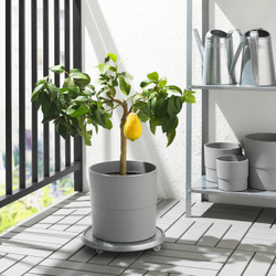 IKEA NYPON  (ИКЕА НЙПОН)  -  Крышка для цветочного горшка, серая, 24 см