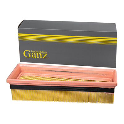 Фильтр воздушный L BMW X5 [E70]/X6 [E71]M 09 GANZ GIR04370