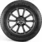 Bridgestone Blizzak DM V2 245/70 R16 107S