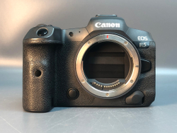 Canon R5, 55.000 кадров пробега