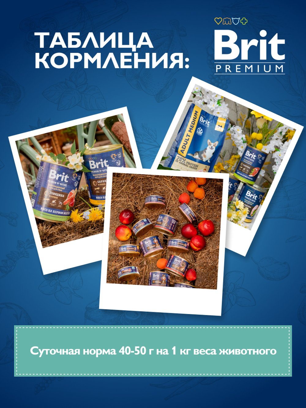 Консервы BRIT PREMIUM BY NATURE dog индейка тыква для взрослых собак всех пород с чувствительным пищеварением 6х410г