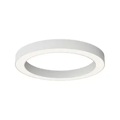 Потолочный светильник Technical C093CL-45W4K-W